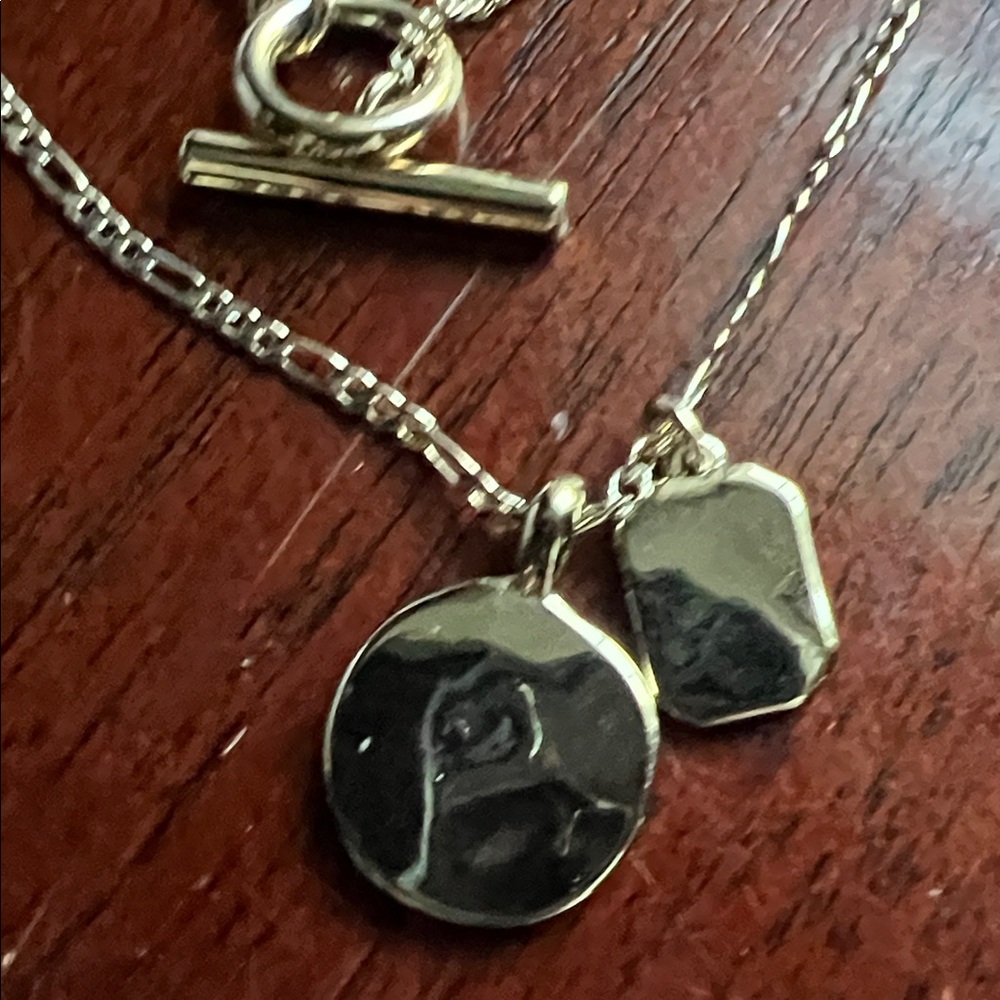 JCREW ⭐️ Gold Layered Necklace - Picture 6 of 14